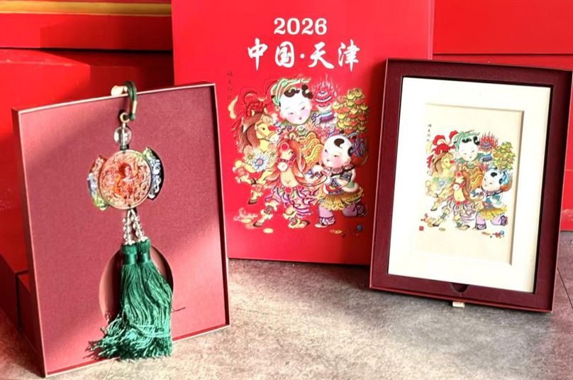 海外侨胞 请查收这份“新春暖心包”PG麻将胡了试玩平台马年吉祥！@(图10)